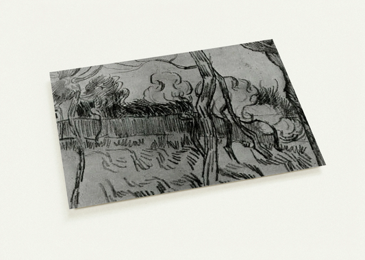 Pine Trees Seen against the Wall of the Asylum By Vincent van Gogh Pack of 10 Post Cards | Vincent van Gogh Post Cards | A6 (10.5 x 14.8 cm) - 4.1 x 5.8 inches