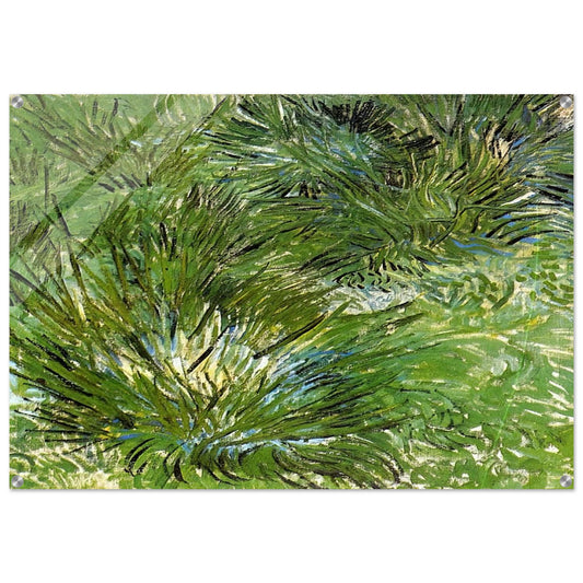 Clumps of Grass - Vincent van Gogh Acrylic Print - 70x100 cm / 28x40″ inches