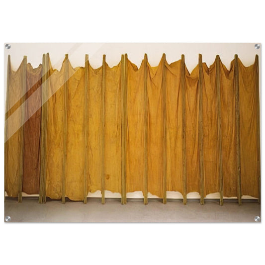 EXPANDED EXPANSION 1969 - Eva Hesse Acrylic Print - 70x100 cm / 28x40″ inches