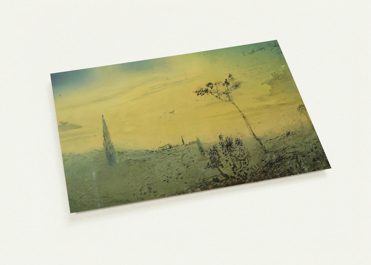 8c5bd419-e0b5-443a-afc4-b22183640c91