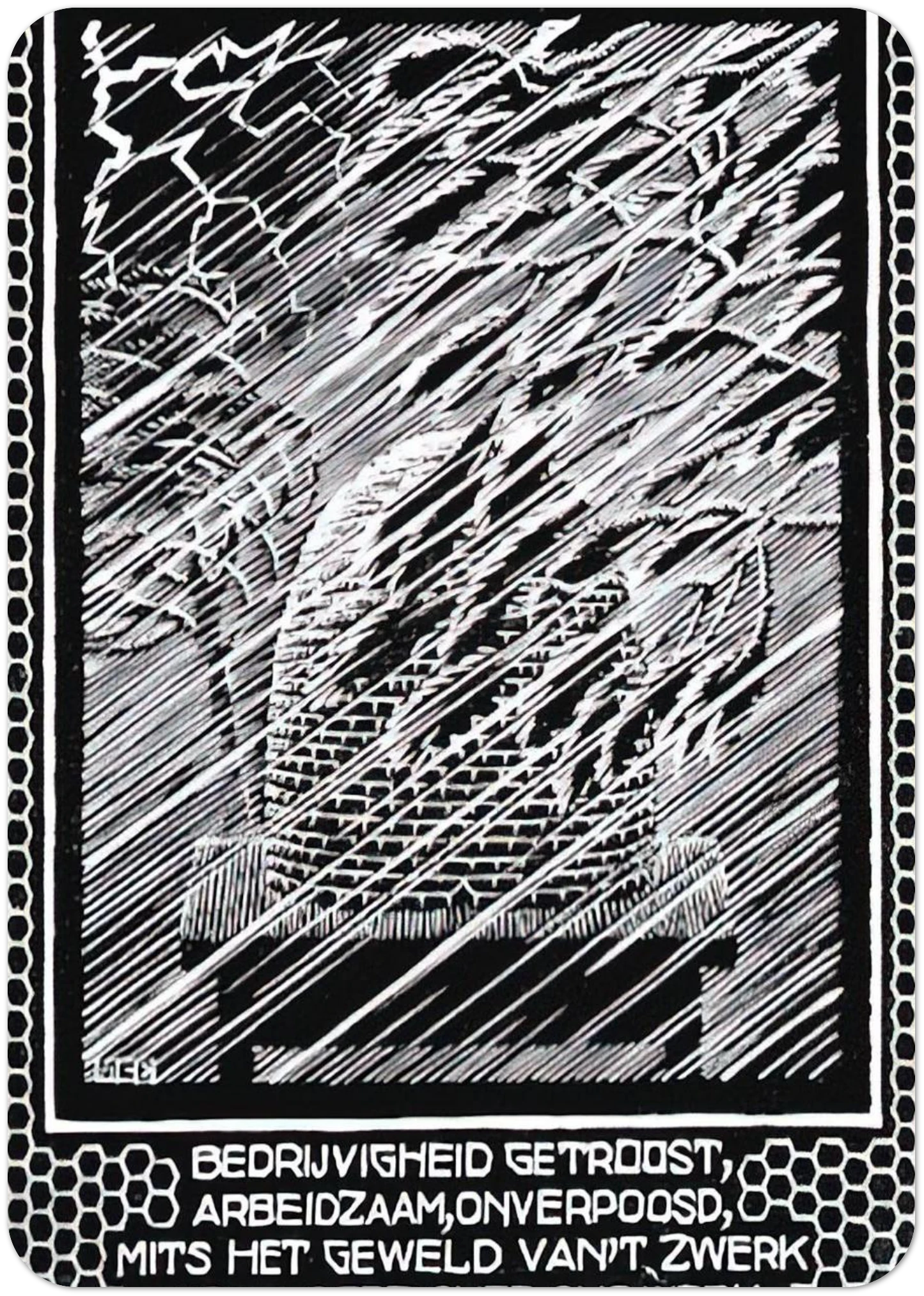 EMBLEMATA BEEHIVE By MC Escher Pack of 10 Post Cards | MC Escher Post Cards | A6 (10.5 x 14.8 cm) - 4.1 x 5.8 inches