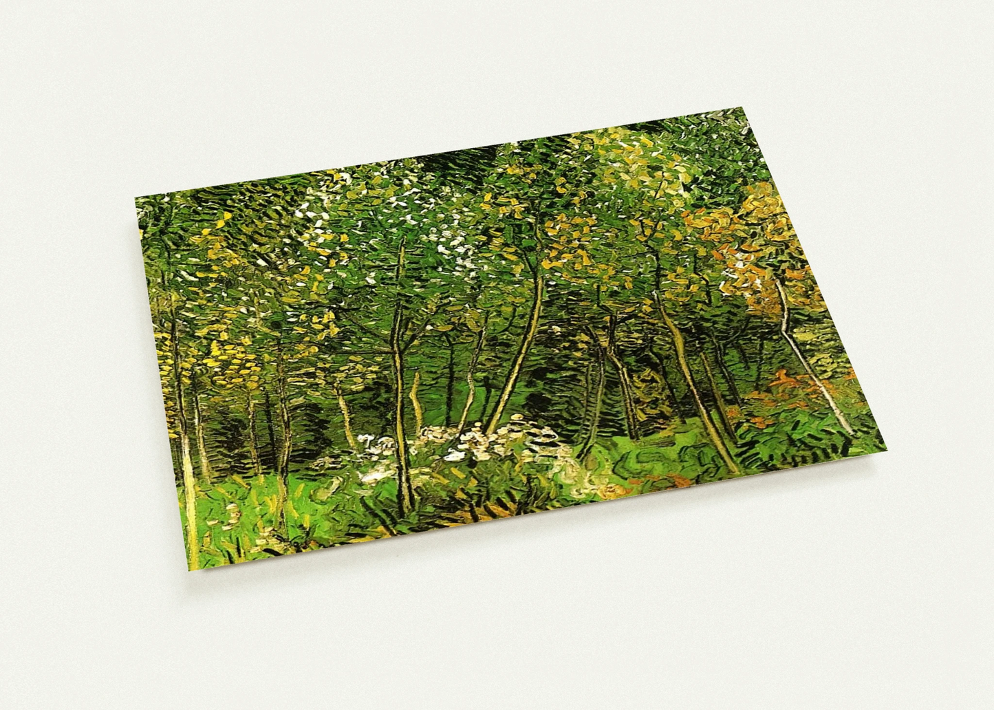 8d5b5964-b96b-42ad-bca4-553c880bc0b8