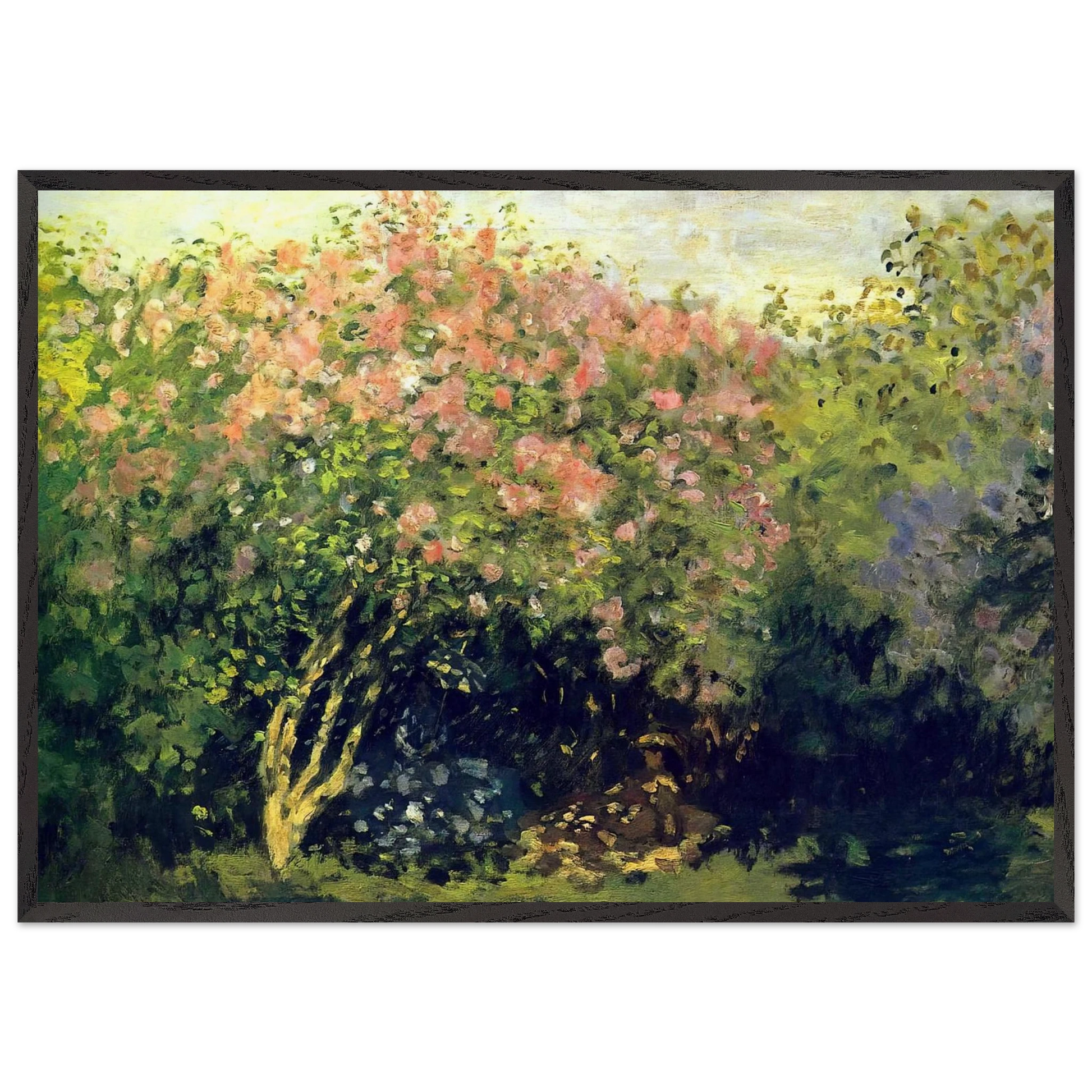 Lilacs in the Sun - claude monet Framed Art Print – Black Wooden Frame - Default Title - -Framed Art Print