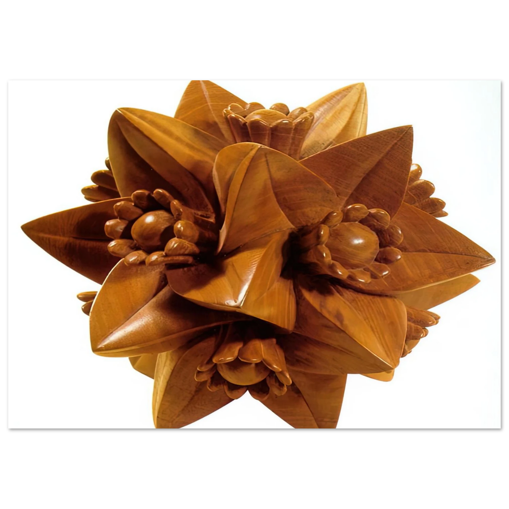 MC Escher - POLYHEDRON WITH FLOWERS Wall Art - 30x40 cm / 12x16 inches - Fine Art Poster - -