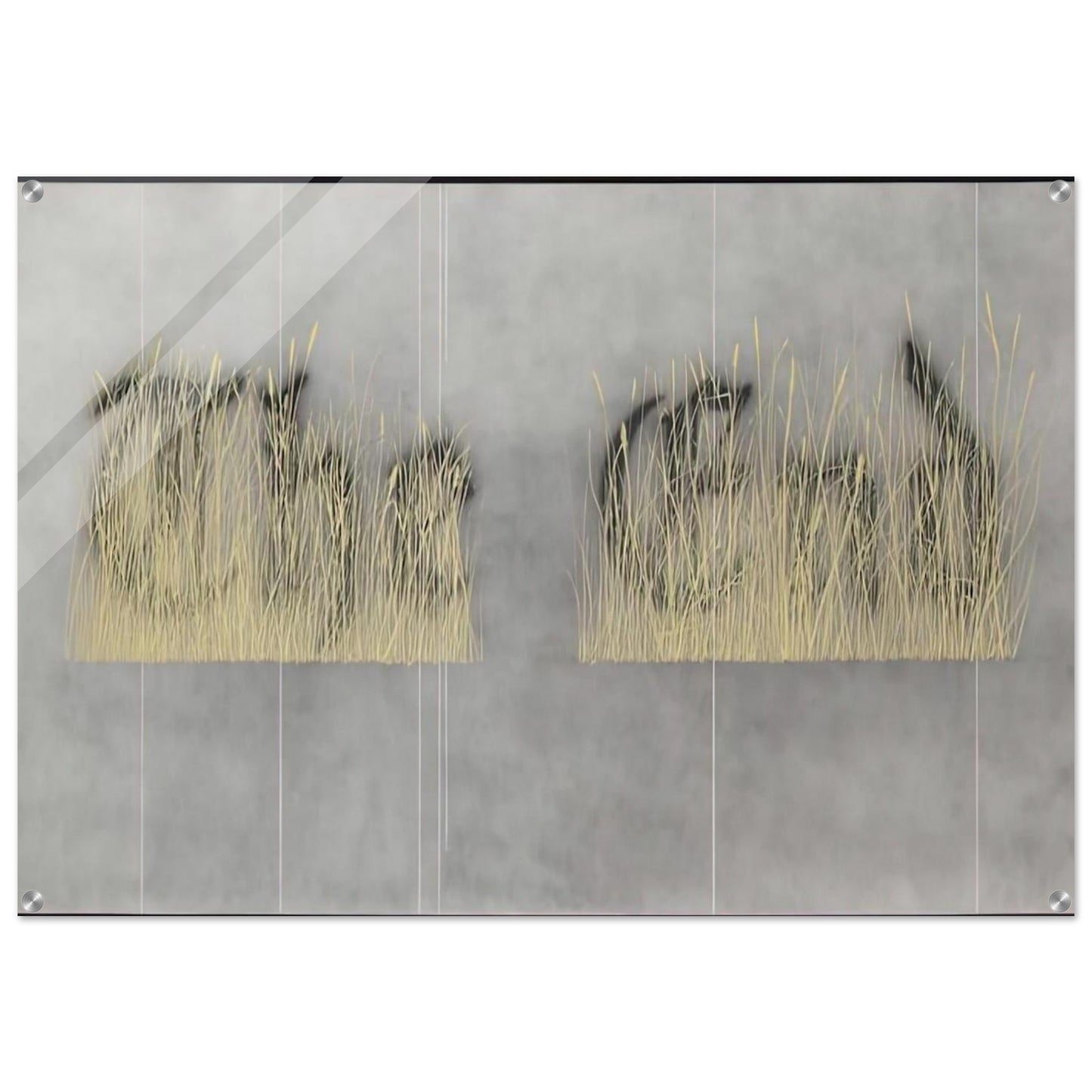 8f996efd-8bcb-47b2-9f07-626c56808395