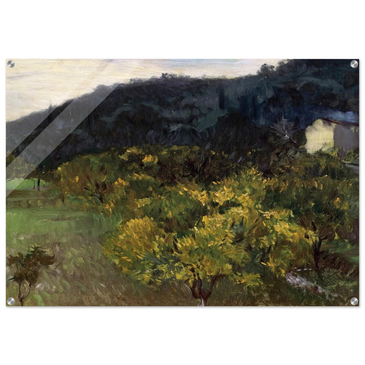 Landscape near Grasse - John Singer Sargent Acrylic Print - 70x100 cm / 28x40″ inches
