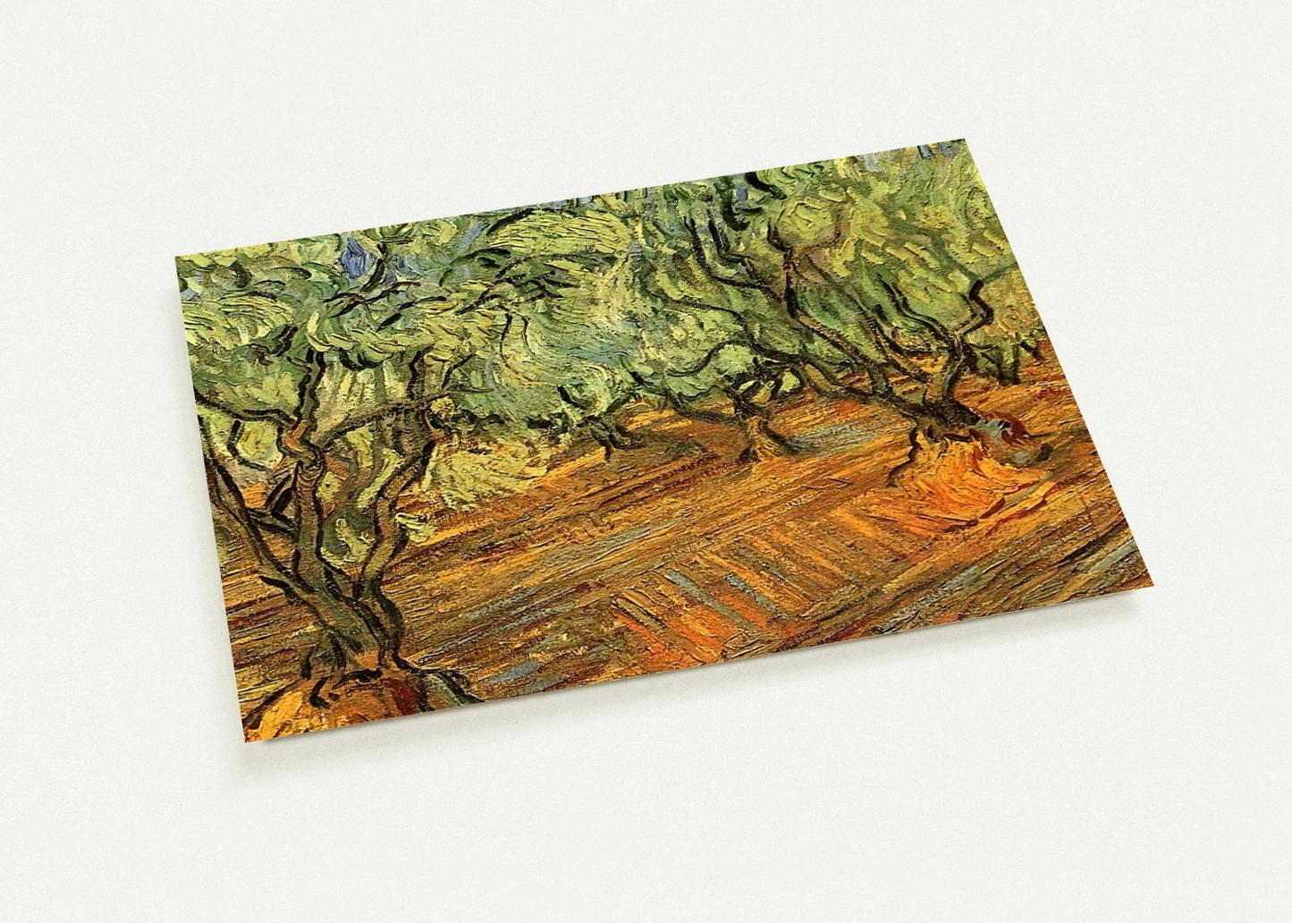 Olive Grove - Bright Blue Sky By Vincent van Gogh Pack of 10 Post Cards | Vincent van Gogh Post Cards | A6 (10.5 x 14.8 cm) - 4.1 x 5.8 inches