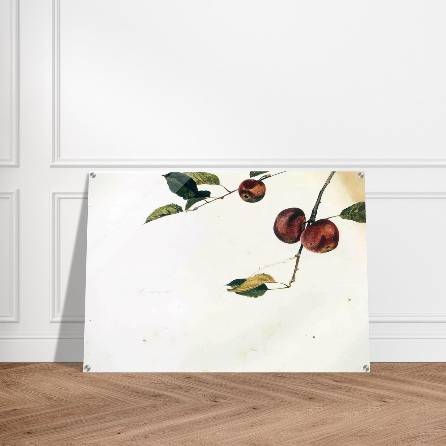 8feb3a23-3f8e-4bbf-a5d8-14ac4368ddf4