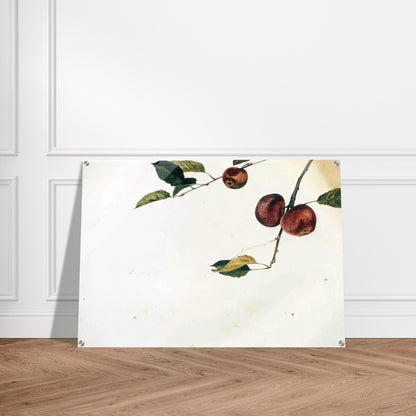 8feb3a23-3f8e-4bbf-a5d8-14ac4368ddf4