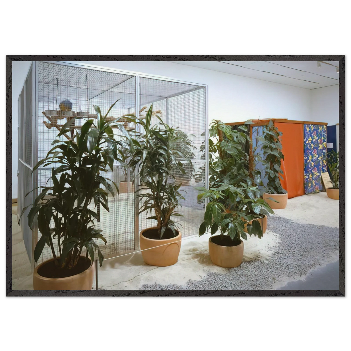 Tropicalia Penetrables PN 2 Purity is a myth and PN 3 Imagetical - Helio Oiticica Framed Art Print – Black Wooden Frame - Default Title - -Framed Art Print