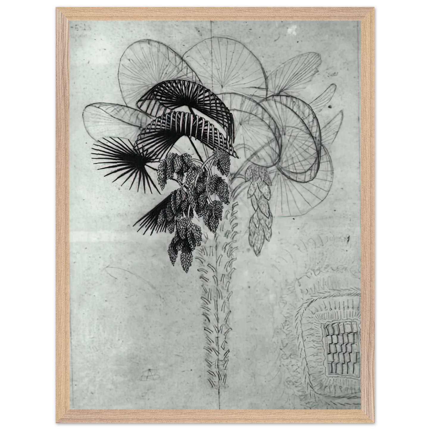 MC Escher - PALM TREE SKETCH Wall Art - 30x40 cm / 12x16 inches - Premium Wooden Framed Poster With Fine Art Paper - Black frame