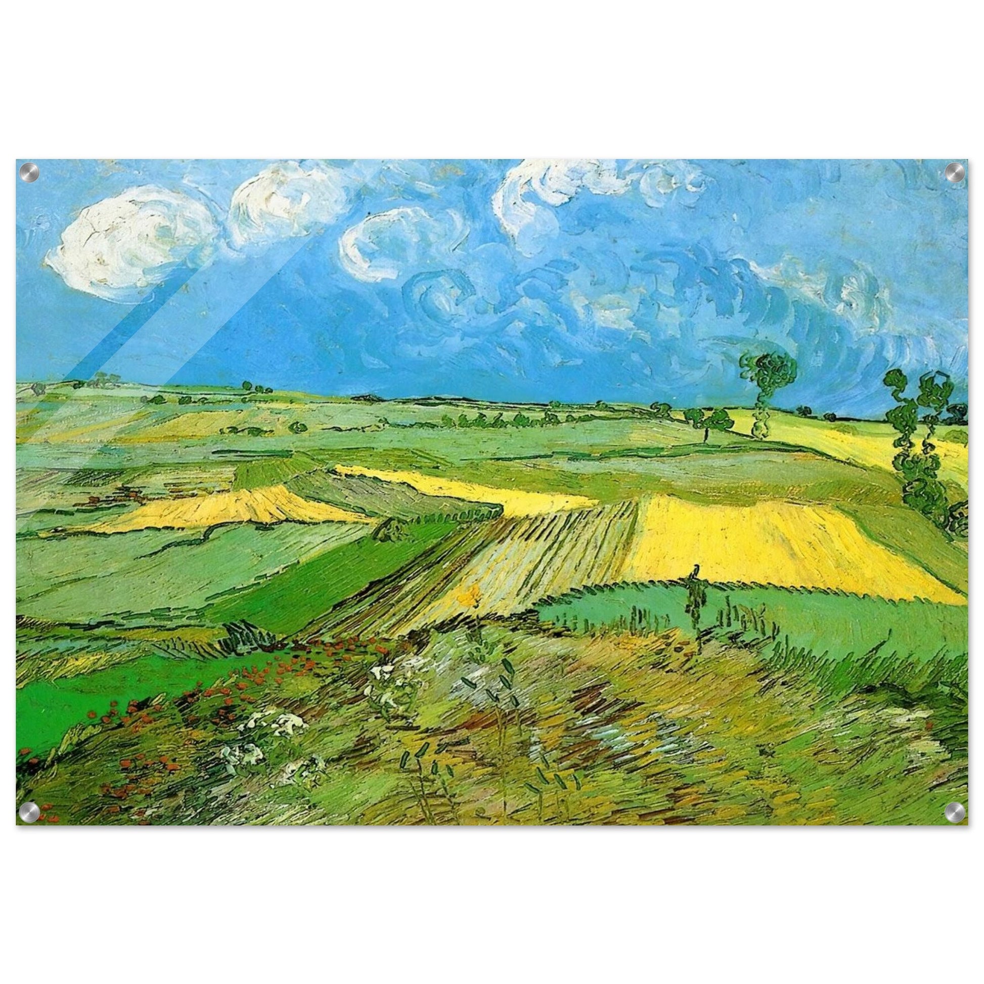 Wheat Fields at Auvers Under Clouded Sky - Vincent van Gogh Acrylic Print - 70x100 cm / 28x40″ inches