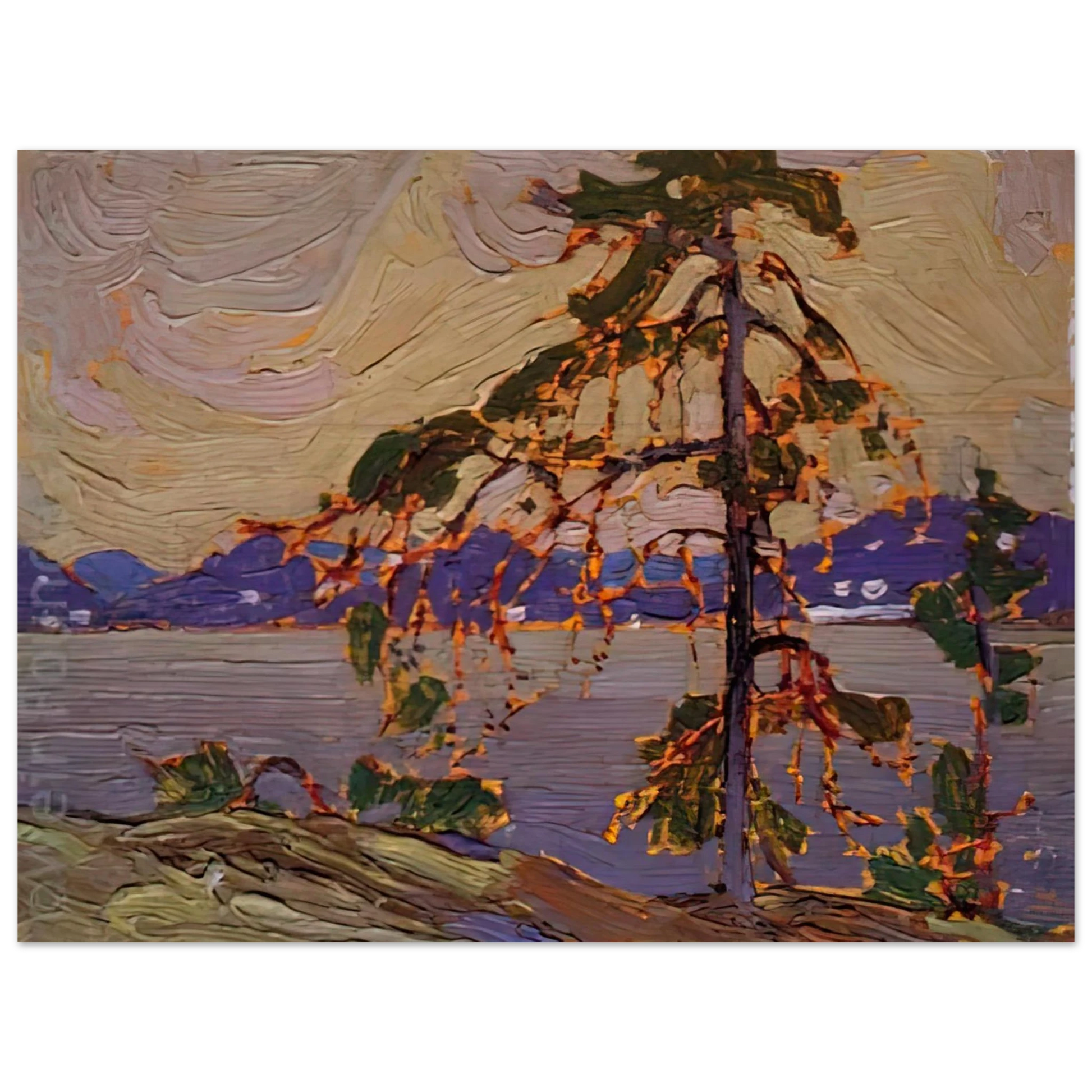 Tom Thomson - SKETCH FOR THE JACK PINE 1916 Fine Art Poster - Default Title