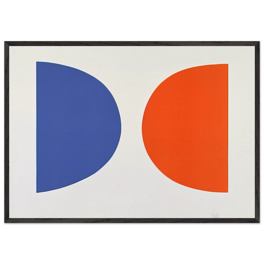 Blue and Orange from Suite of Twenty-Seven Color Lithographs - Ellsworth Kelly Framed Art Print – Black Wooden Frame - Default Title - -Framed Art Print
