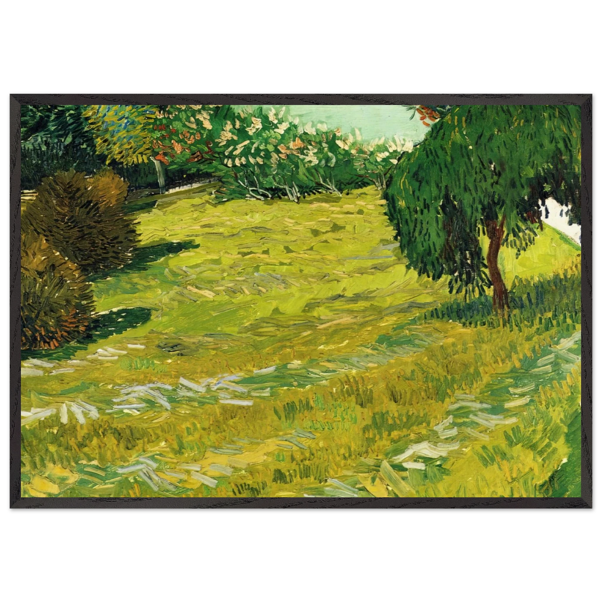 Garden with Weeping Willow - Vincent van Gogh Framed Art Print – Black Wooden Frame - Default Title - -Framed Art Print