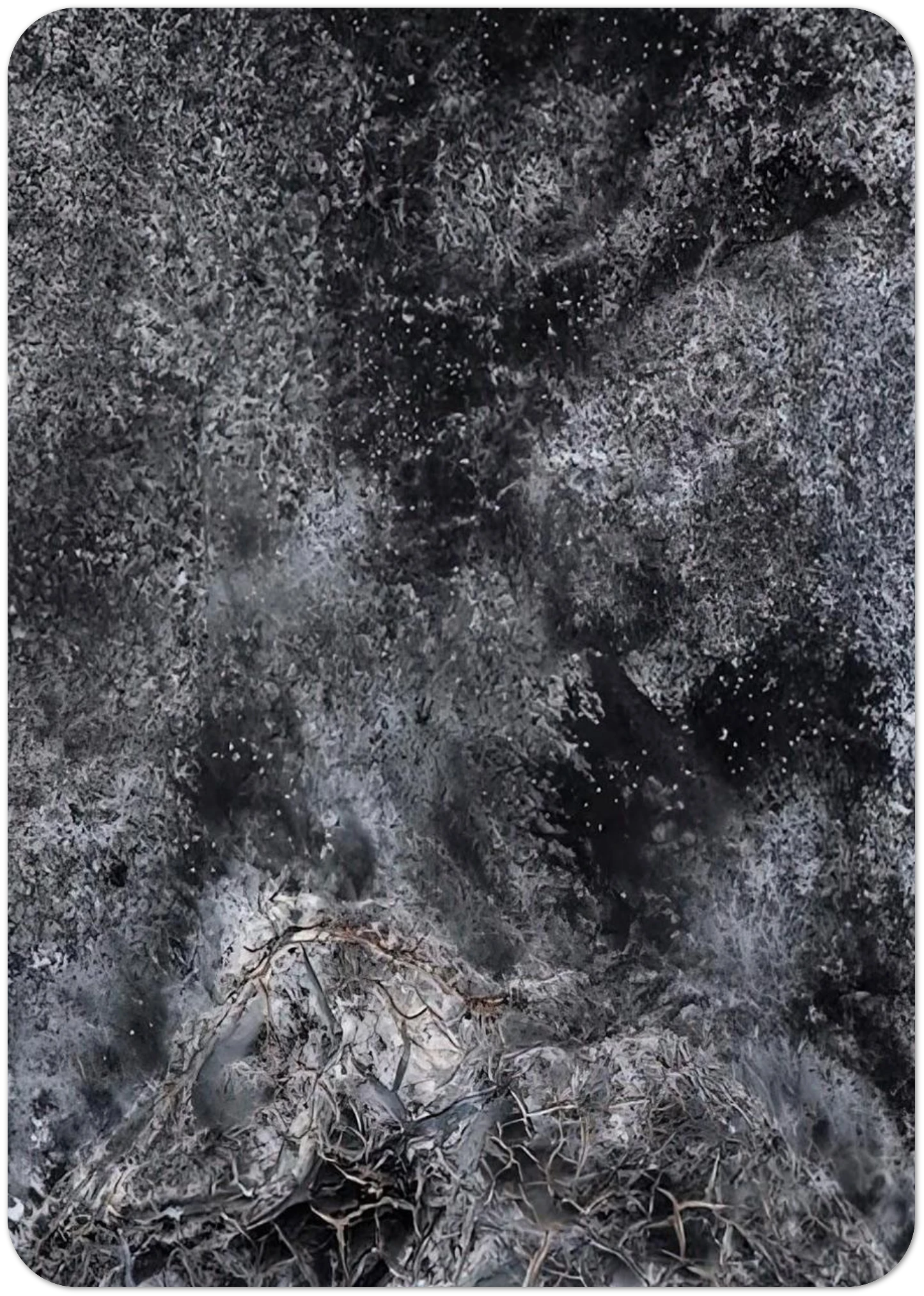 92969b23-292a-4de5-b1f6-4f1c80a1b253