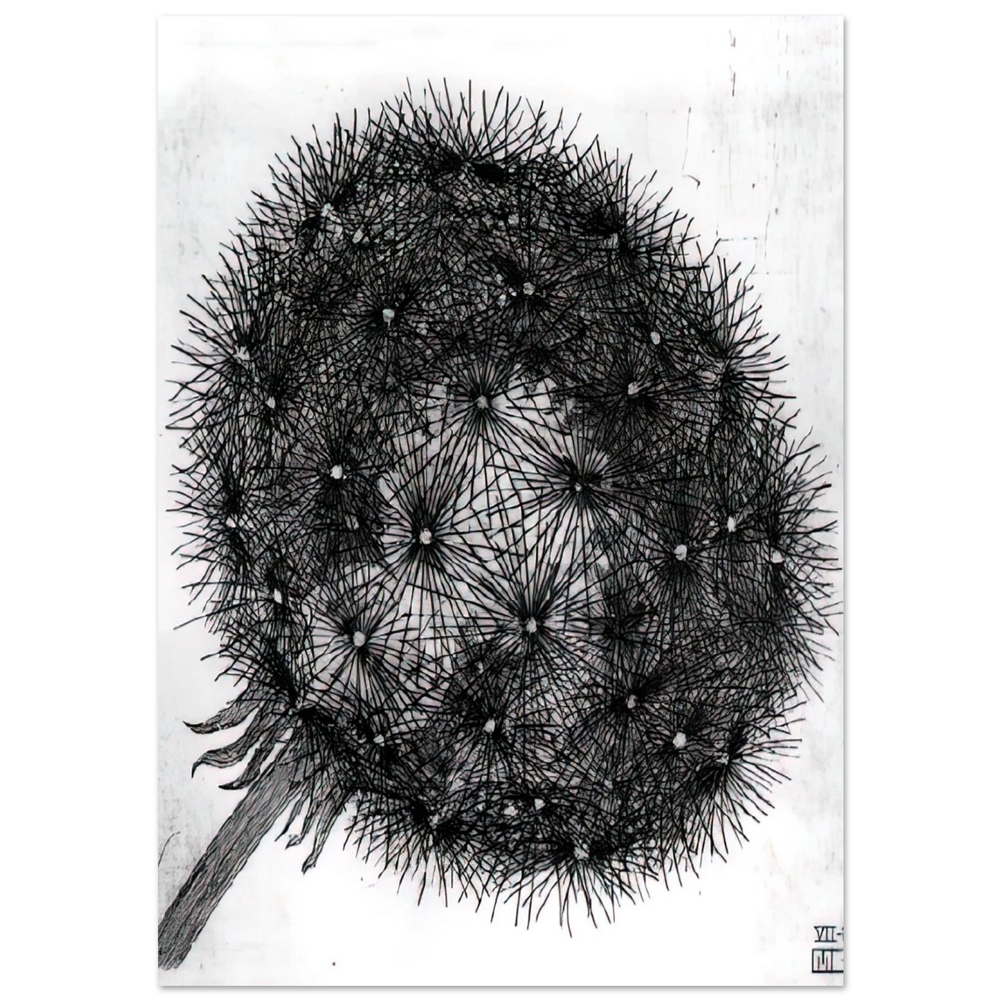 MC Escher - BLOWBALL I Wall Art - 30x40 cm / 12x16 inches - Premium Wooden Framed Poster With Fine Art Paper - Wood frame