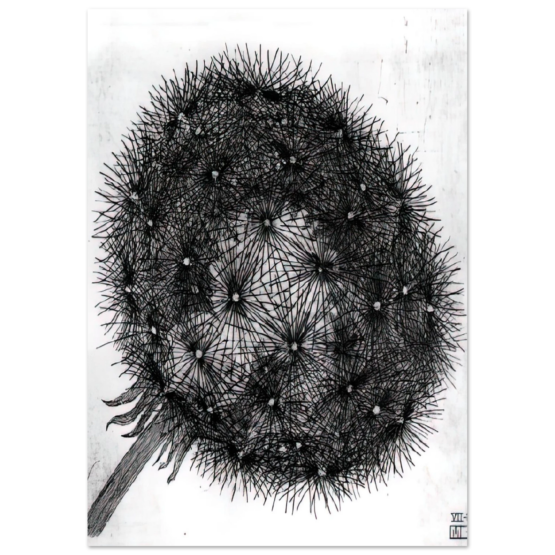 MC Escher - BLOWBALL I Wall Art - 30x40 cm / 12x16 inches - Premium Wooden Framed Poster With Fine Art Paper - Wood frame