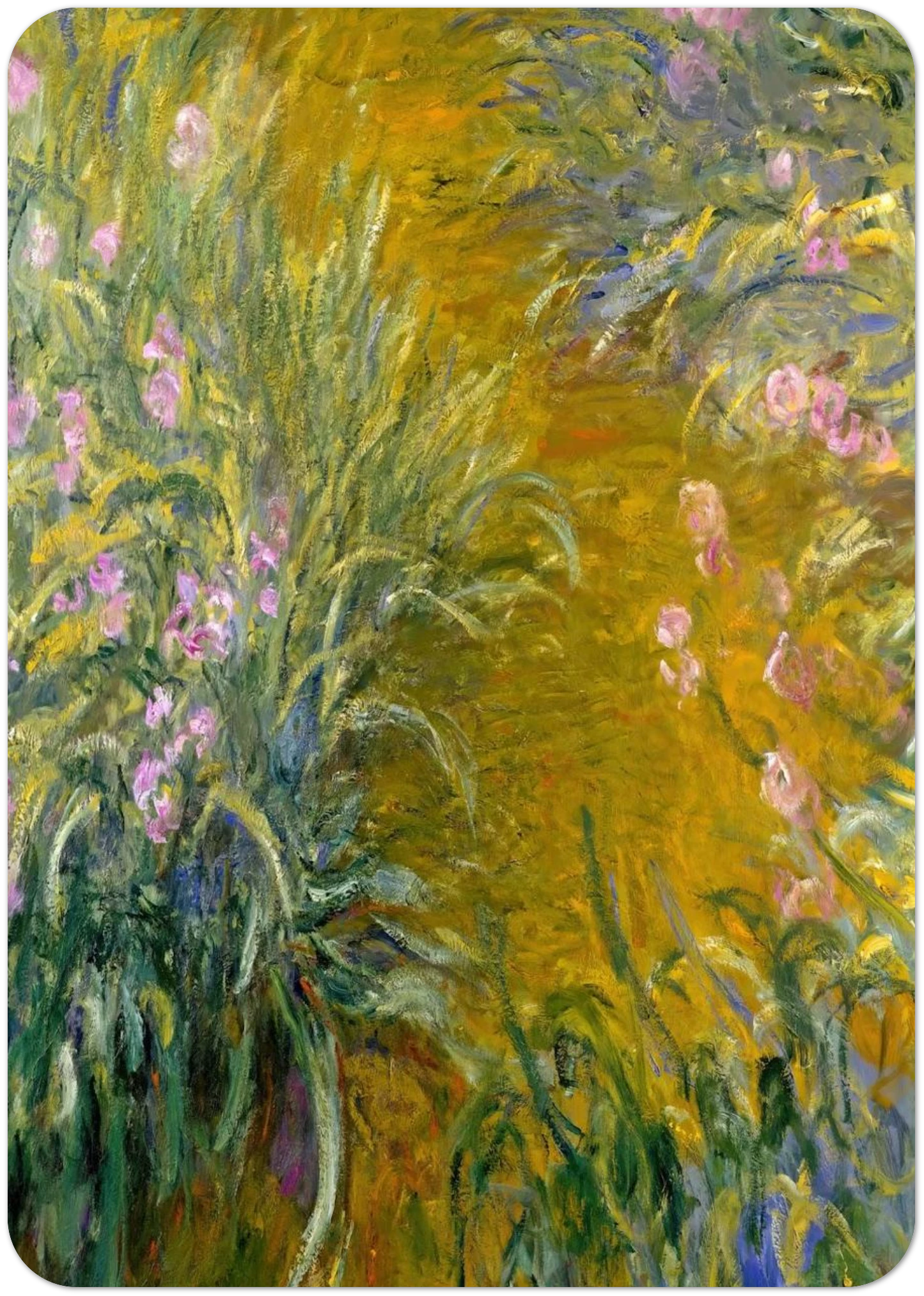 Path through the Irises 01 By claude monet Pack of 10 Post Cards | claude monet Post Cards | A6 (10.5 x 14.8 cm) - 4.1 x 5.8 inches