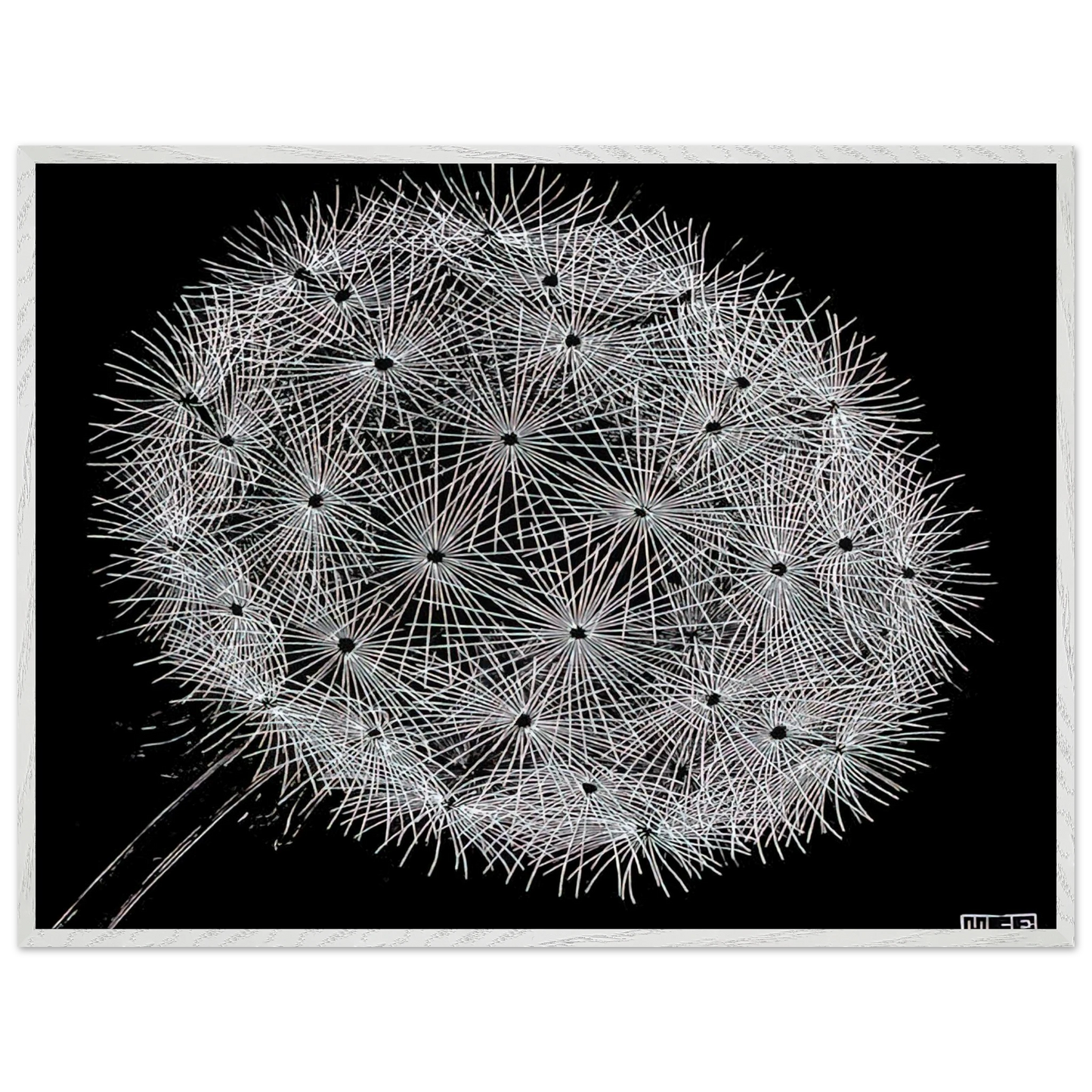 MC Escher - BLOWBALL II Wall Art - 30x40 cm / 12x16 inches - Premium Wooden Framed Poster With Fine Art Paper - Wood frame