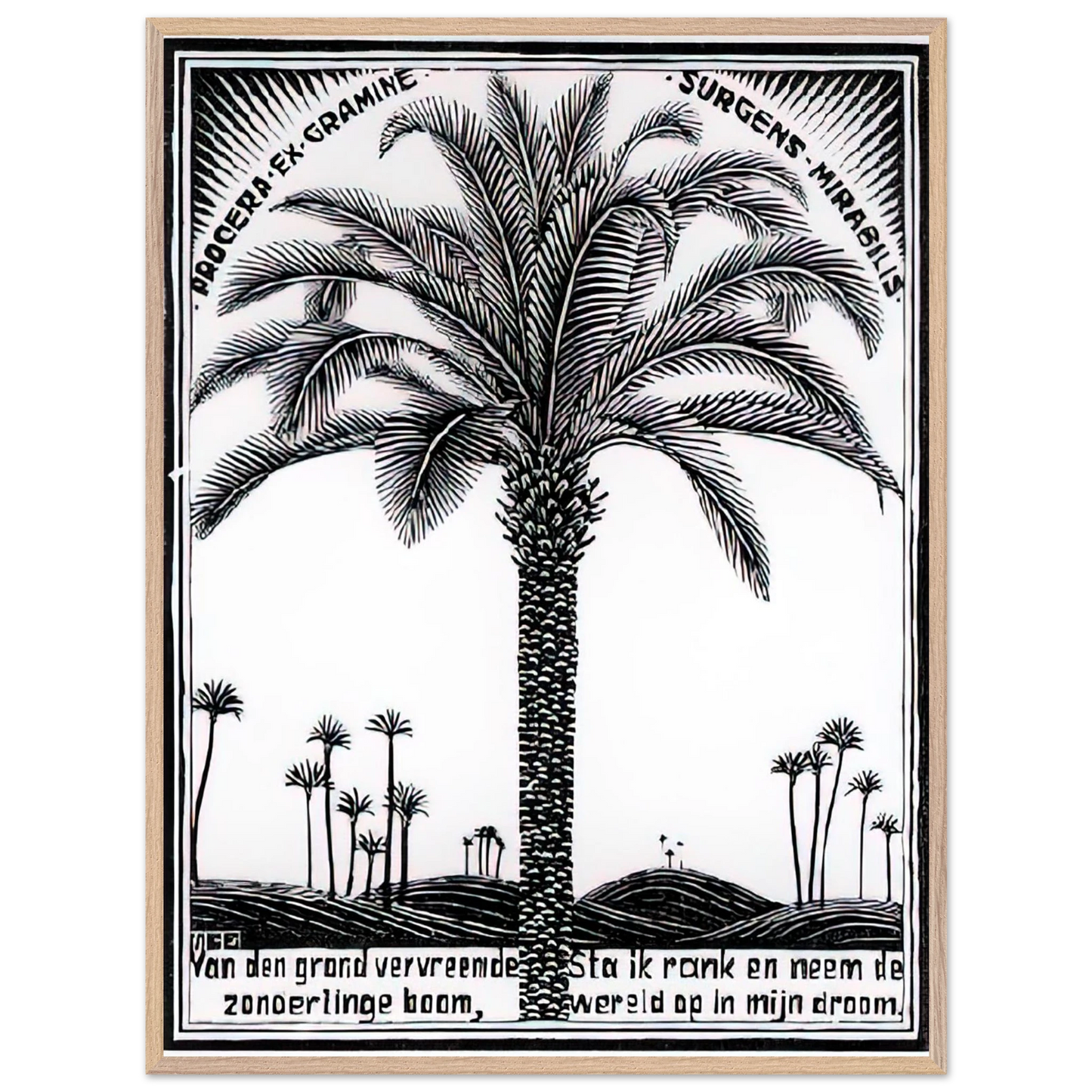 MC Escher - PALM TREE 1 Wall Art - 30x40 cm / 12x16 inches - Premium Wooden Framed Poster With Fine Art Paper - Black frame