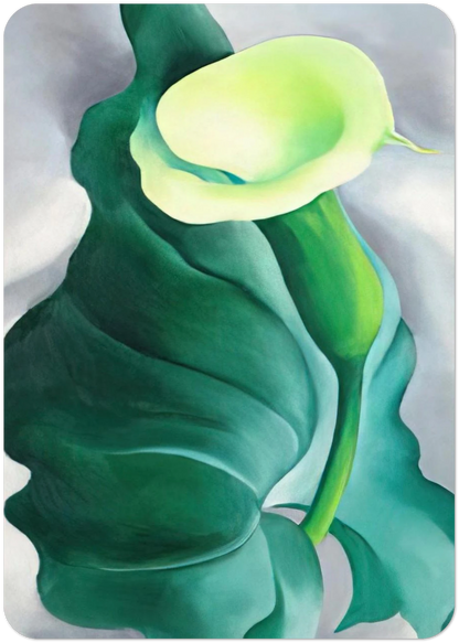 Calla Lily  Lily-Yellow No. 2  By Georgia O'Keeffe Pack of 10 Post Cards | Georgia O'Keeffe Post Cards | A6 (10.5 x 14.8 cm) - 4.1 x 5.8 inches