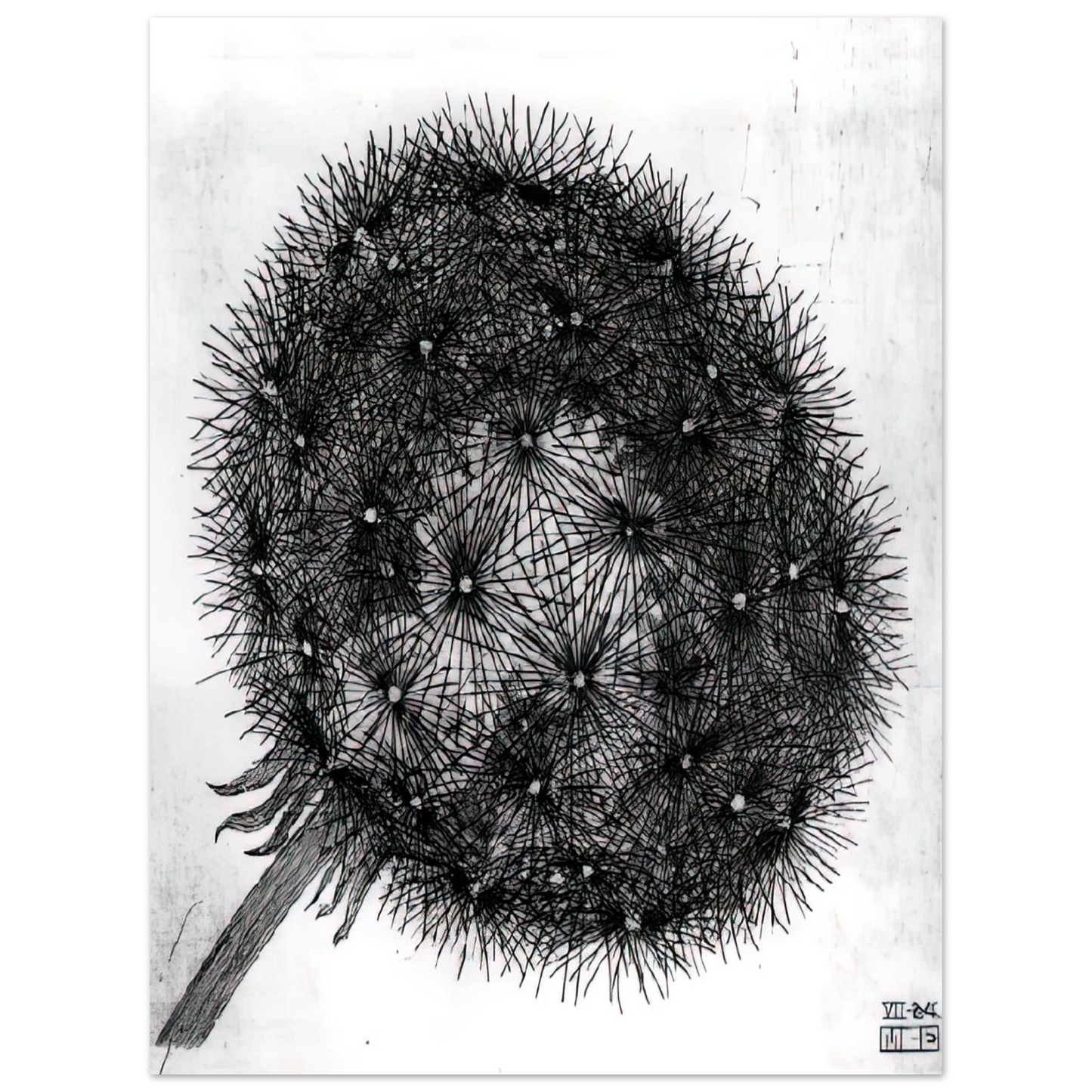MC Escher - BLOWBALL I Wall Art - 21x29.7 cm / 8x12" - Fine Art Poster - -
