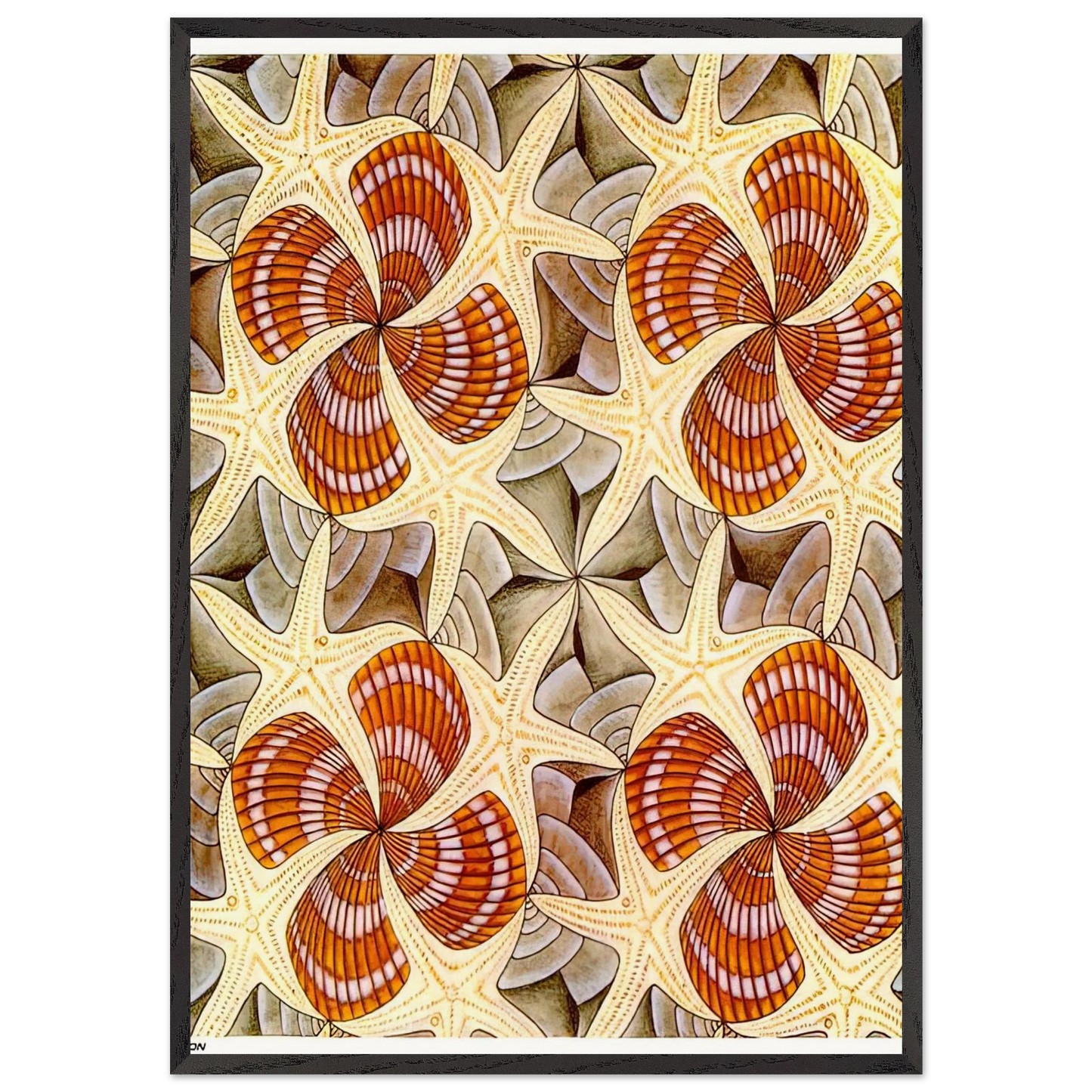 SHELLS AND STARFISH - MC Escher Framed Art Print – Black Wooden Frame - Default Title - -Framed Art Print