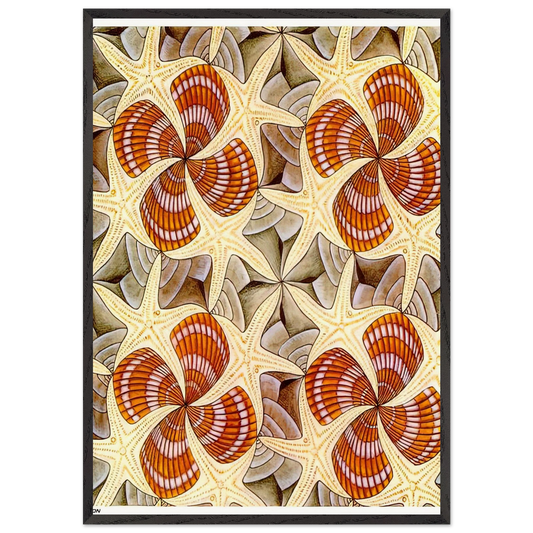 SHELLS AND STARFISH - MC Escher Framed Art Print – Black Wooden Frame - Default Title - -Framed Art Print