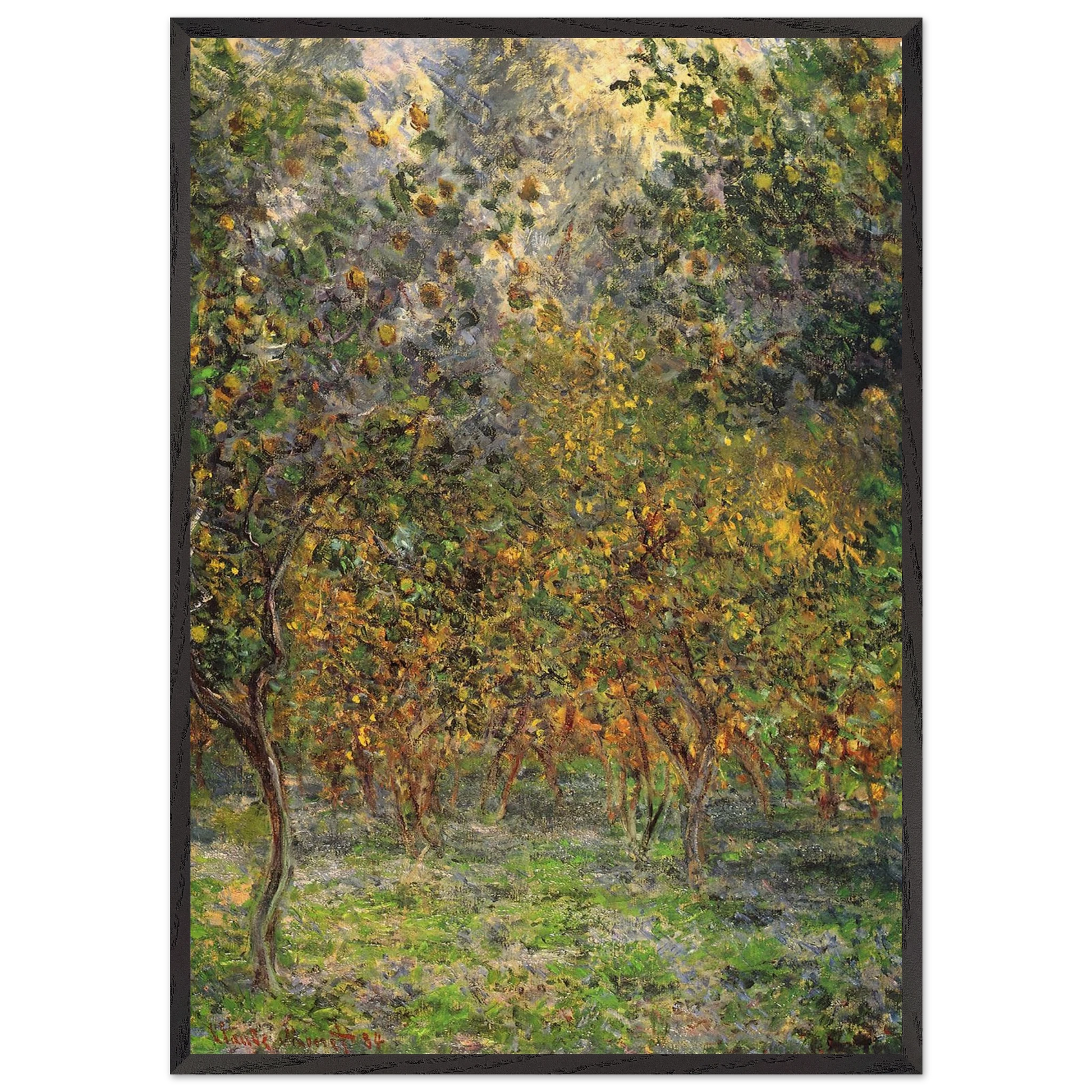 Under the Lemon Trees - claude monet Framed Art Print – Black Wooden Frame - Default Title - -Framed Art Print