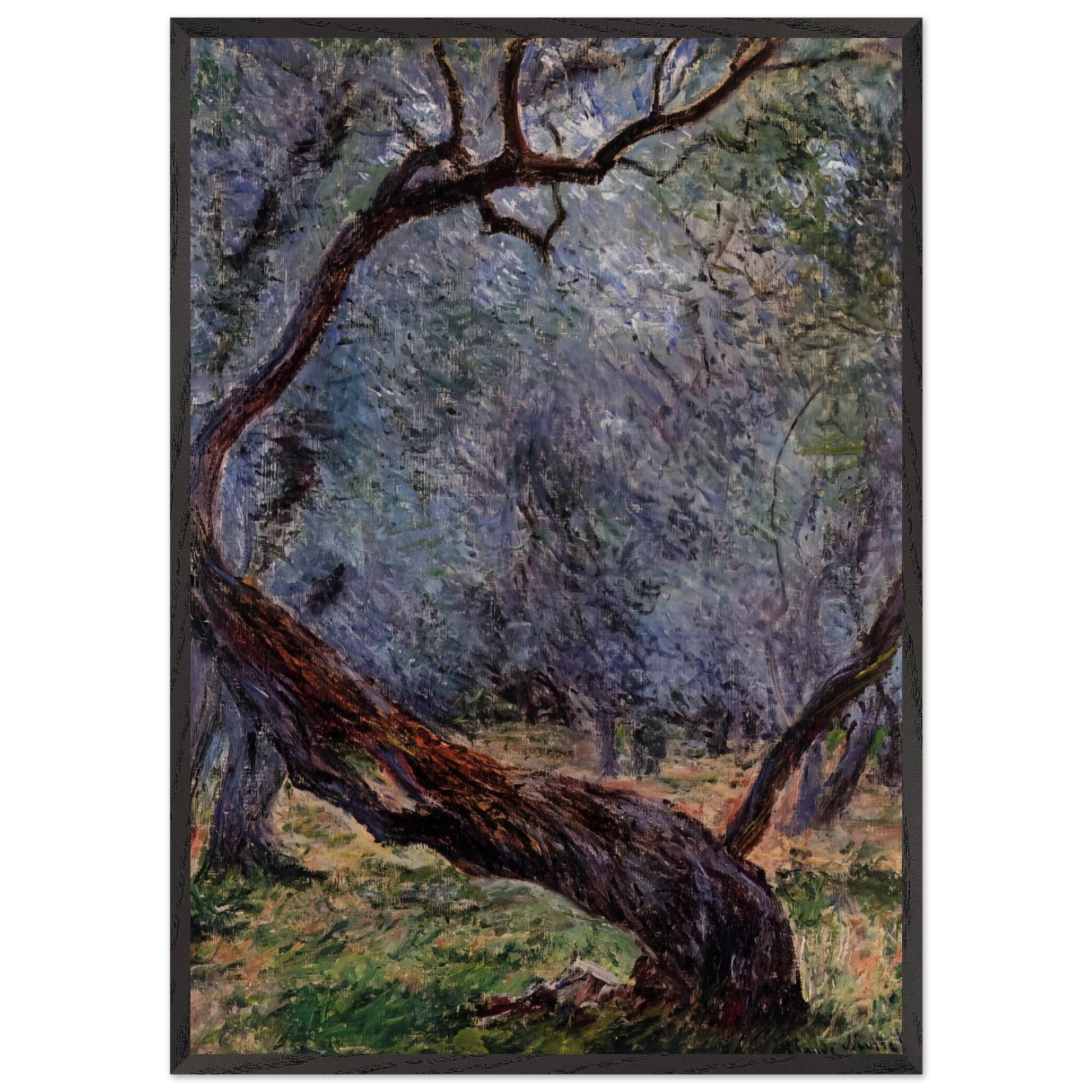 Olive Trees Study - claude monet Framed Art Print – Black Wooden Frame - Default Title - -Framed Art Print