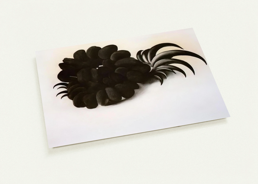 Eagle Claw and Bean Necklace By Georgia O'Keeffe Pack of 10 Post Cards | Georgia O'Keeffe Post Cards | A6 (10.5 x 14.8 cm) - 4.1 x 5.8 inches