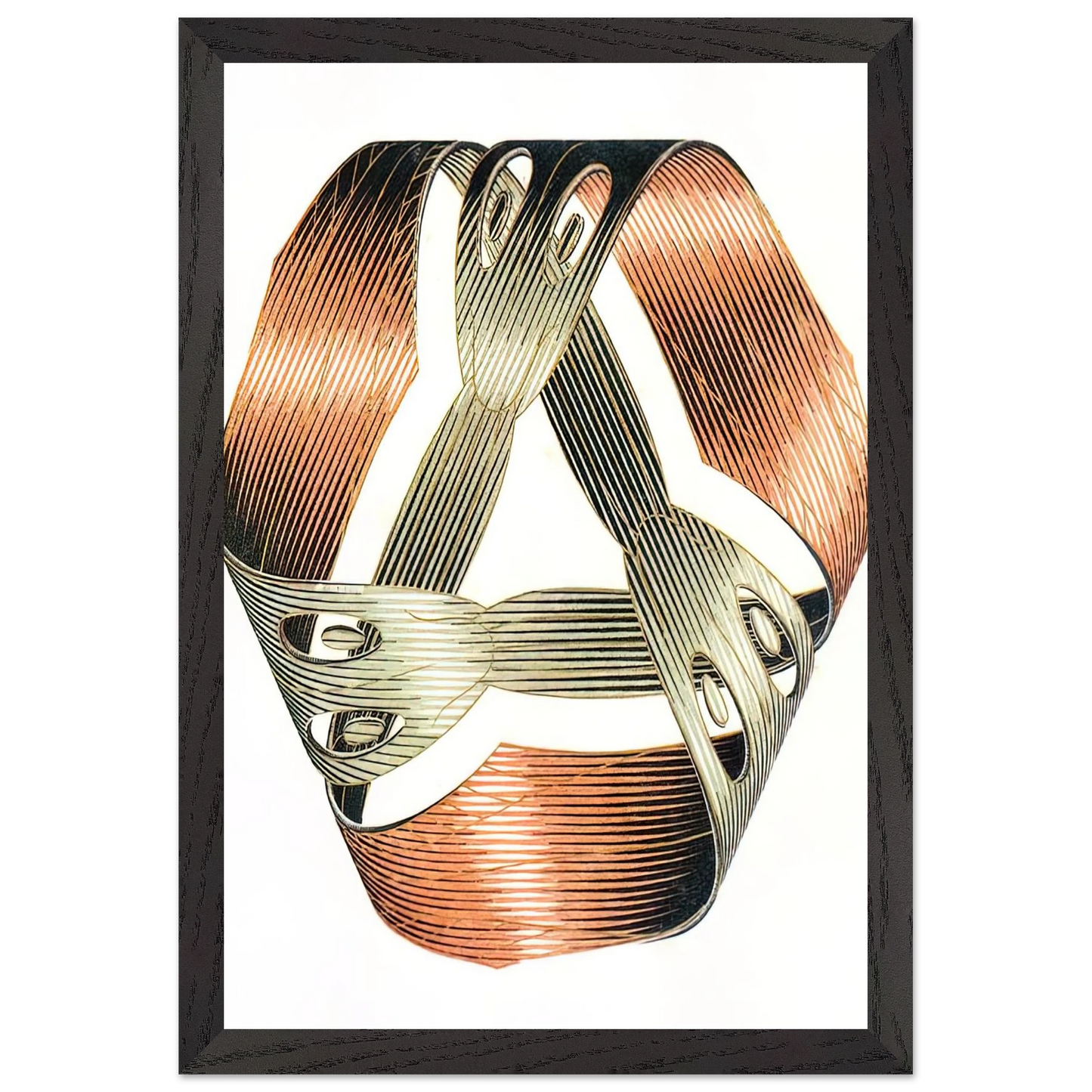 MC Escher - MOEBIUS STRIP I Wall Art - 21x29.7 cm / 8x12" - Premium Wooden Framed Poster With Fine Art Paper - Black frame