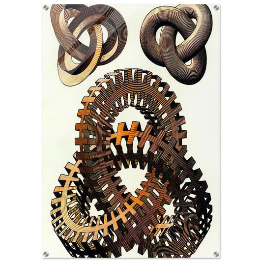 KNOTS COLOUR - MC Escher Acrylic Print - 70x100 cm / 28x40″ inches | Maurits Cornelis Escher Prints