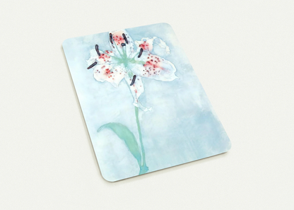 Lily By Piet Mondrian Pack of 10 Post Cards | Piet Mondrian Post Cards | A6 (10.5 x 14.8 cm) - 4.1 x 5.8 inches
