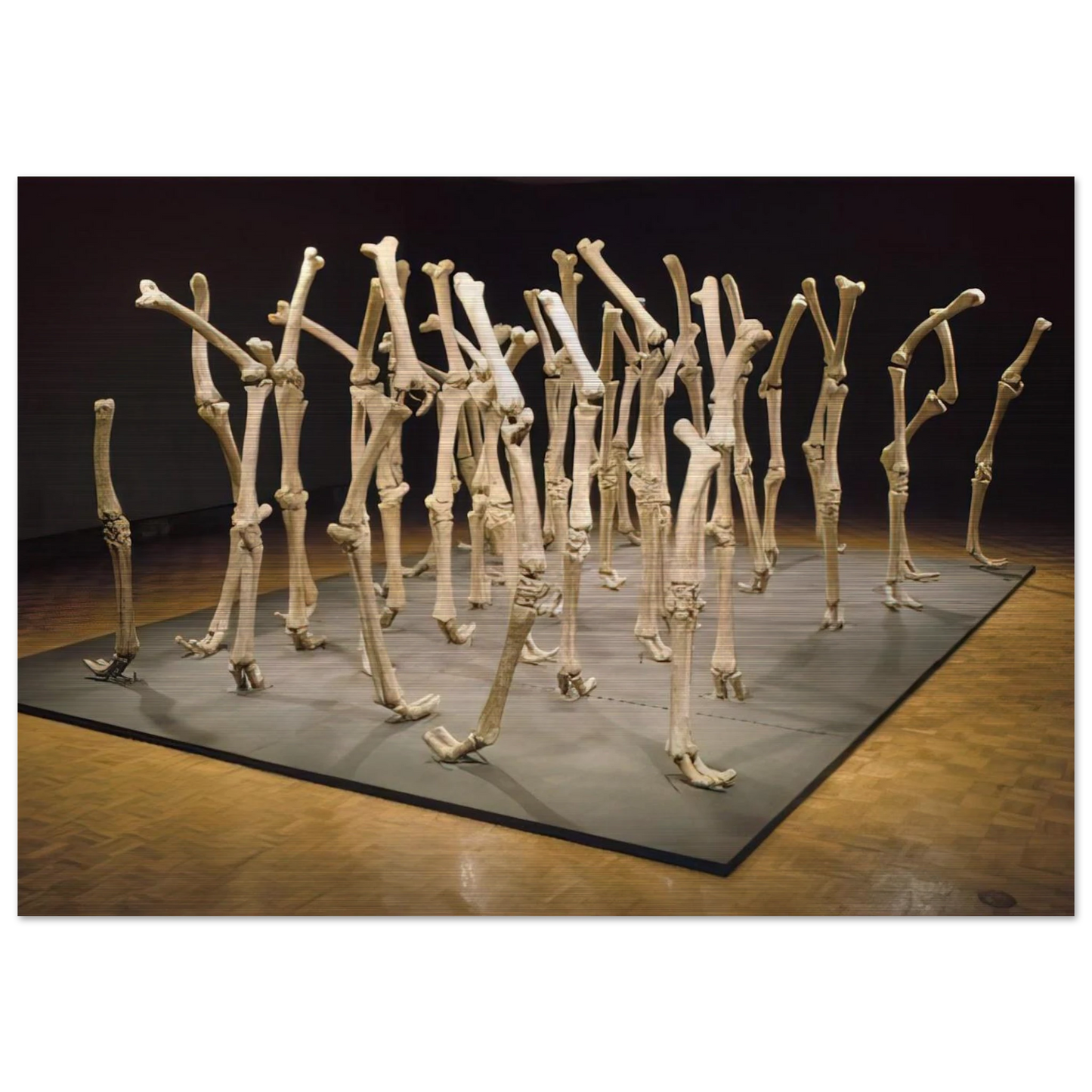 9a92aa8b-de9a-46bf-96c9-8d2ff1c5e7e6