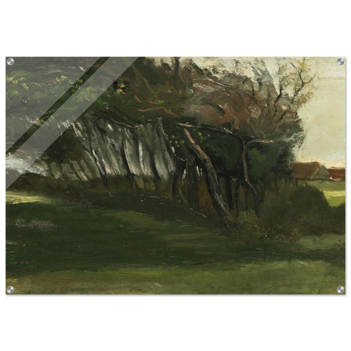 Landscape with windswept trees - Vincent van Gogh Acrylic Print - 70x100 cm / 28x40″ inches | Vincent van Gogh Wall Art | Vincent van Gogh Prints