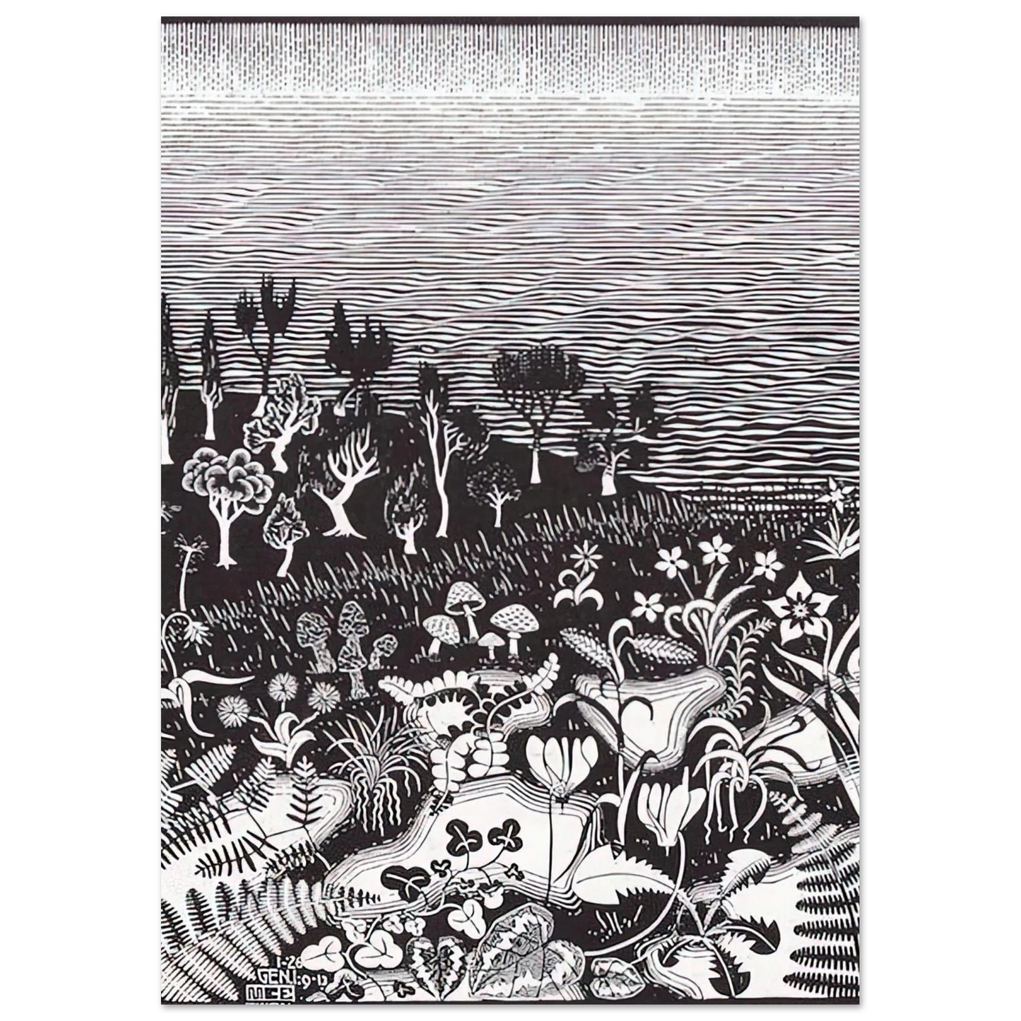 MC Escher - THE 3RD DAY OF THE CREATION Wall Art - 60x80 cm / 24x32 inches - Premium Wooden Framed Poster With Fine Art Paper - Black frame
