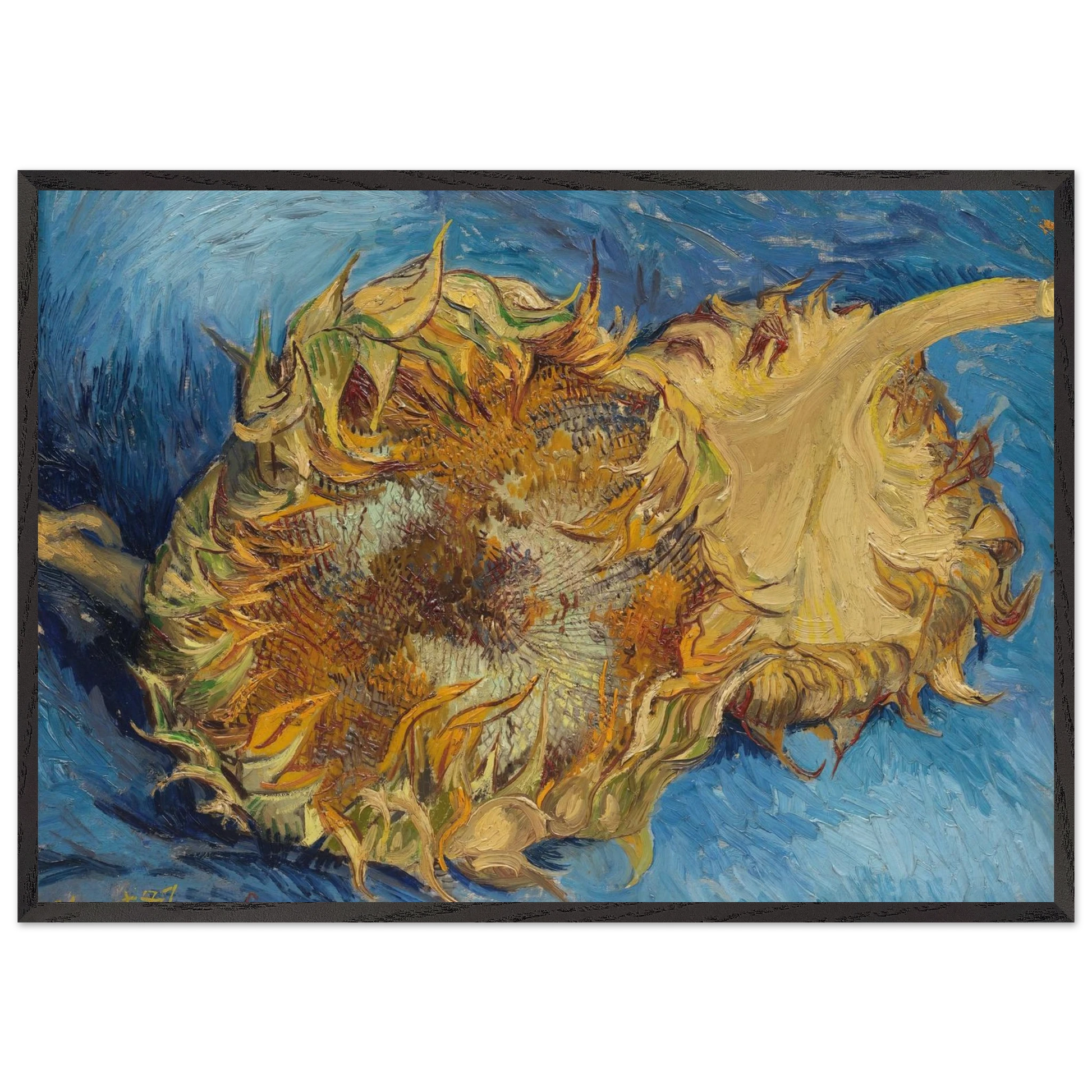 Still Life with Two Sunflowers - Vincent van Gogh Framed Art Print – Black Wooden Frame - Default Title - -Framed Art Print