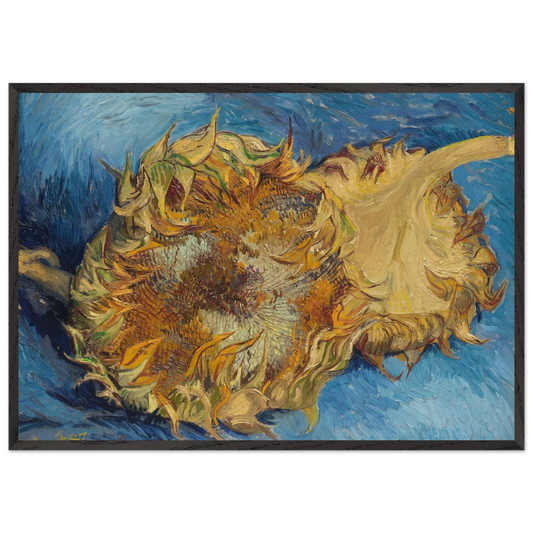 Still Life with Two Sunflowers - Vincent van Gogh 70x100 cm / 28x40 inches Framed Art Print – Black Wooden Frame