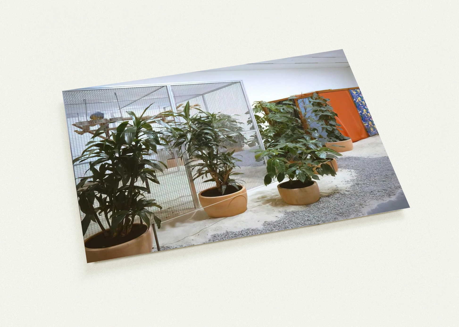 9c233083-3a9b-43d3-bb44-2ee413a5f0e4