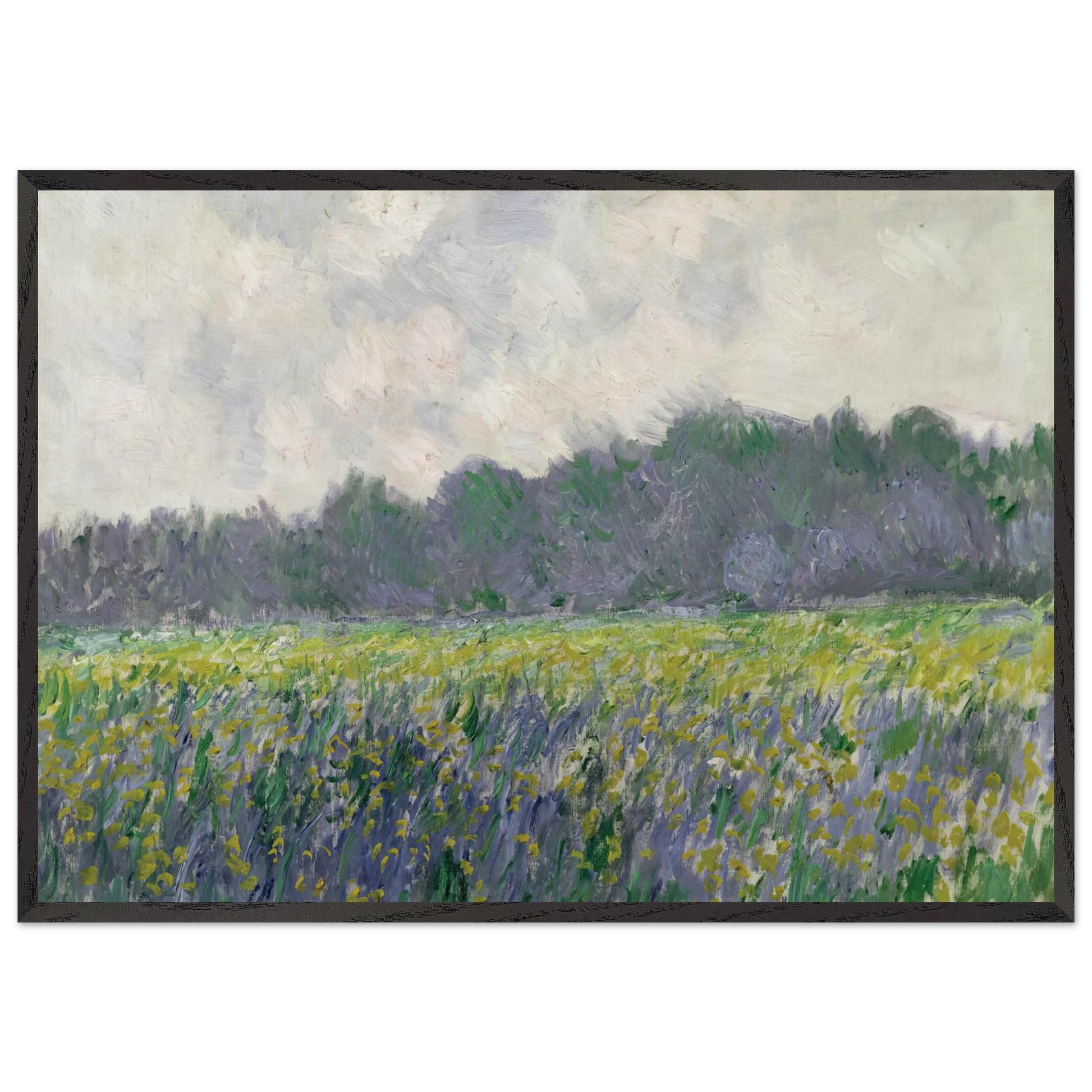 Field of Yellow Irises at Giverny - claude monet Framed Art Print – Black Wooden Frame - Default Title - -Framed Art Print