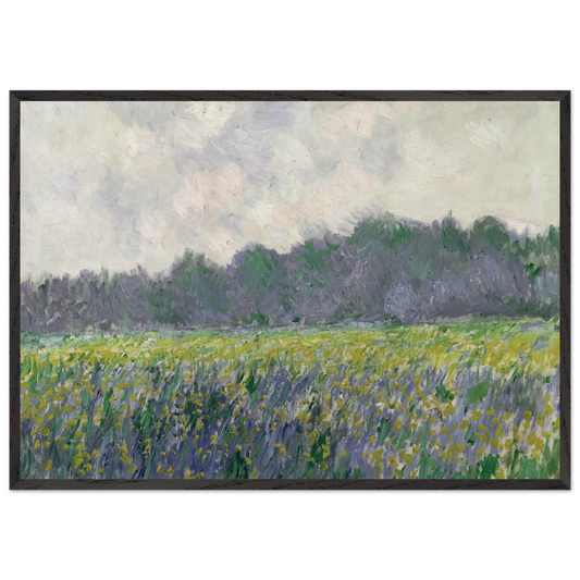 Field of Yellow Irises at Giverny - claude monet 70x100 cm / 28x40 inches Framed Art Print – Black Wooden Frame