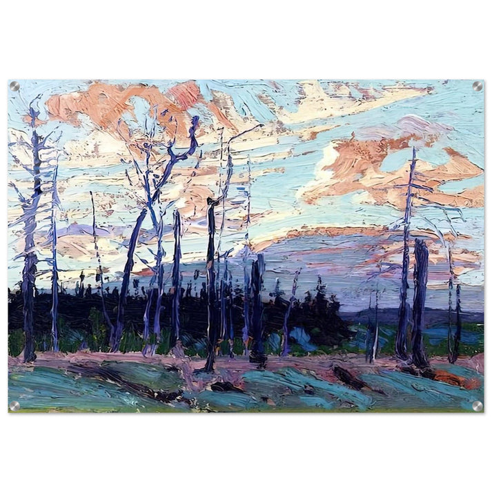 BURNT LAND AT SUNSET 1915 - Tom Thomson Acrylic Print - 70x100 cm / 28x40″ inches