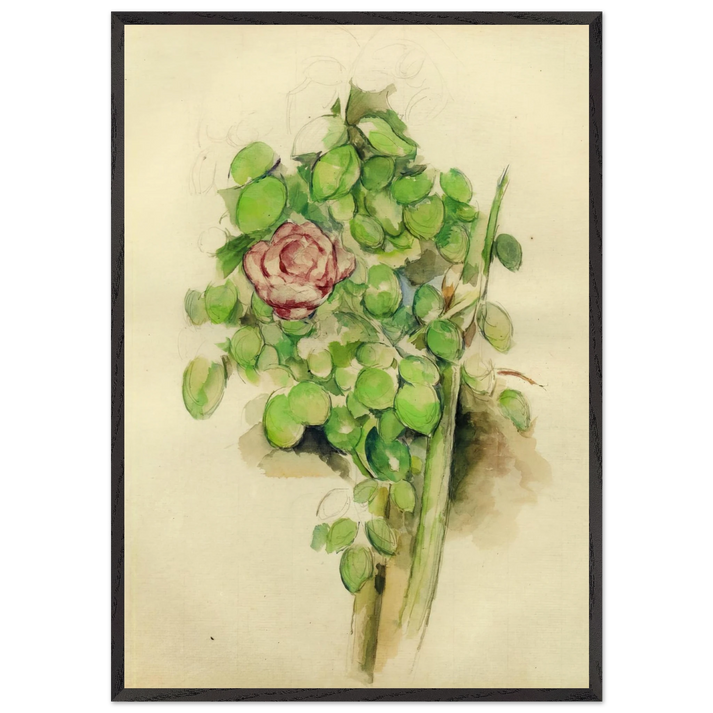 Rose Bush - Paul Cezanne 70x100 cm / 28x40 inches Framed Art Print – Black Wooden Frame