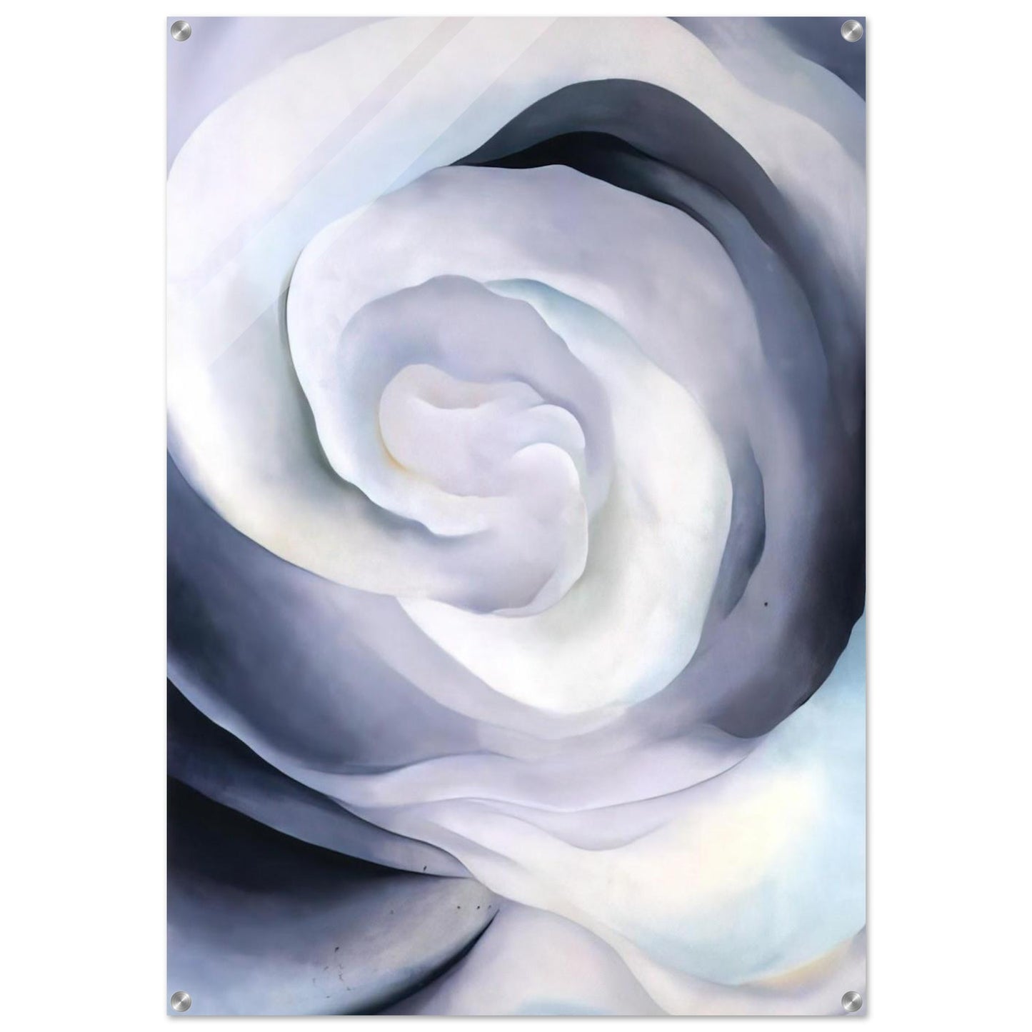 Abstraction White Rose - Georgia O'Keeffe Acrylic Print - 70x100 cm / 28x40″ inches | Georgia O'Keeffe Wall Art | Georgia O'Keeffe Prints