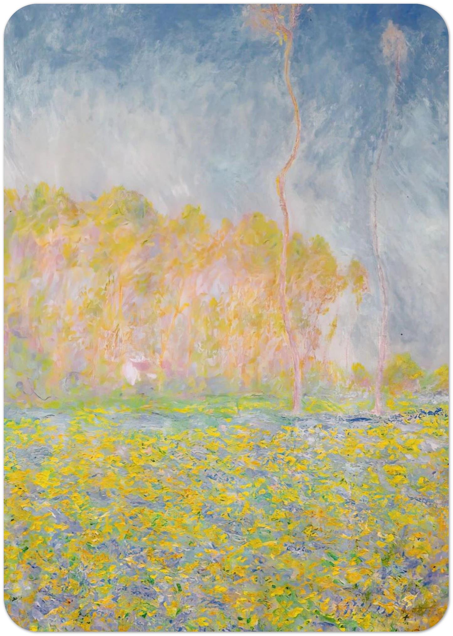 9d9e902d-089c-41f9-a5bc-b30f503dc3d9