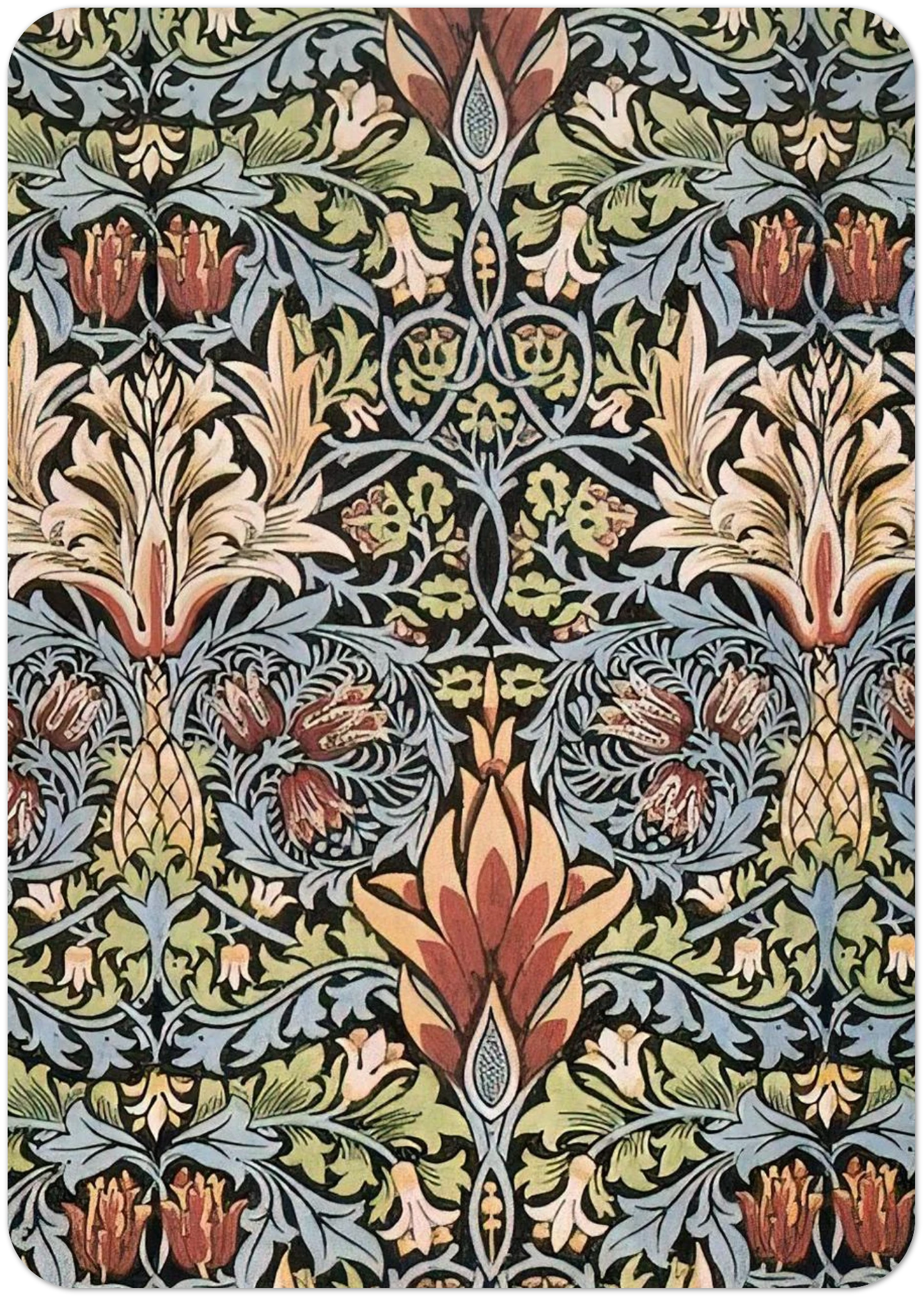 9e8a20e2-b600-411f-a9e8-3c69b63bf2bf