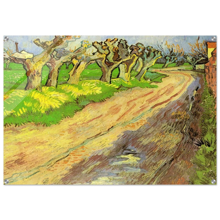 Pollard Willows - Vincent van Gogh Acrylic Print - 70x100 cm / 28x40″ inches | Vincent van Gogh Wall Art | Vincent van Gogh Prints