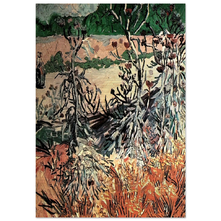 Thistles - Vincent van Gogh Brushed Aluminum Print - 70x100 cm / 28x40 inches | Vincent van Gogh Aluminum Print | Vincent van Gogh Prints